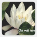Search for within stickers Floral