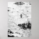 Search for birch bark posters Trunk