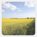 Search for panorama stickers Landscape