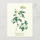 Search for love romantic postcards Victorian