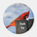 Search for wooden magnets Thank you