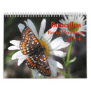 Search for butterfly calendars Butterflies