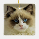 Search for ragdoll cat christmas tree decorations Feline