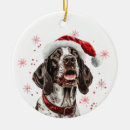 Search for pointer dog christmas tree decorations Watercolor