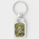 Search for barred key rings Nature