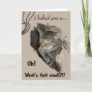 Search for silly cat birthday cards Kitty