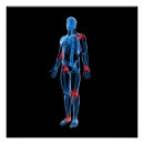 Search for xray art Medical