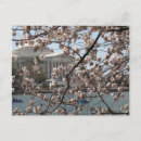 Search for washington spring postcards Tidal basin