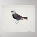 Search for victoria art Illustration
