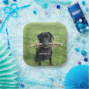 Search for dog plates Fun
