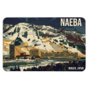 Search for snowing magnets Ski