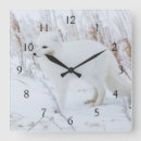 Search for churchill clocks Alopex lagopus