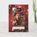 Search for hungarian christmas cards Dog