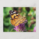 Search for antennae postcards Insect