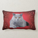 Search for british shorthair cushions Cute