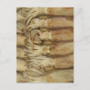 Search for calamari postcards Squid
