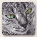 Search for tabby cat coasters Pet