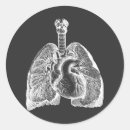 Search for lung anatomy stickers Heart
