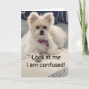 Search for funny 18th birthday cards Photography