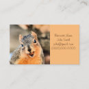Search for too business cards Cute