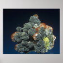 Search for natural sciences posters Cutout