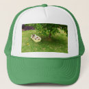 Search for charlie hats Pet