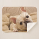Search for animal head blankets Pet