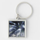 Search for trees in fog key rings California