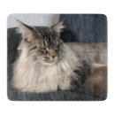 Search for cat cookware Animal