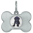 Search for photo pet tags Puppy