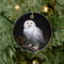 Search for snowy white owl christmas tree decorations Bird