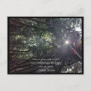Search for ancient chinese postcards Trees