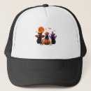 Search for pumpkin cat hats Halloween