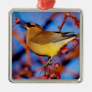 Search for ornithology christmas tree decorations Birds and blooms