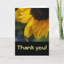 Search for macro flower cards Sunflower