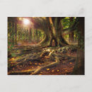 Search for elfin postcards Fantasy