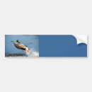 Search for mallards bumper stickers Bird