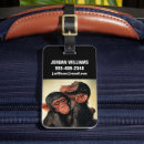 Search for chimpanzees accessories Primate