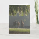 Search for three quarter cards Horses