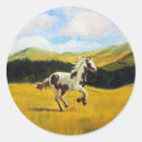 Search for filly stickers Foal