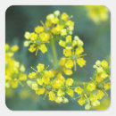 Search for for all occasions stickers Flowers