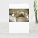 Search for content cards Cute