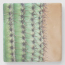 Search for needle coasters Usa