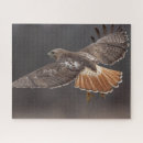 Search for hawk puzzles Birds of prey