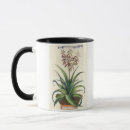 Search for aloe vera mugs Botanical