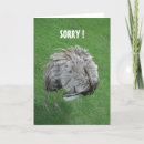 Search for apology cards Excuse