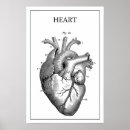 Search for aorta posters Heart