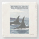 Search for whales coasters Orca