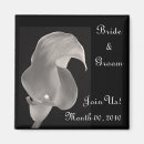 Search for calla magnets Lily