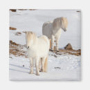 Search for mare magnets Snow